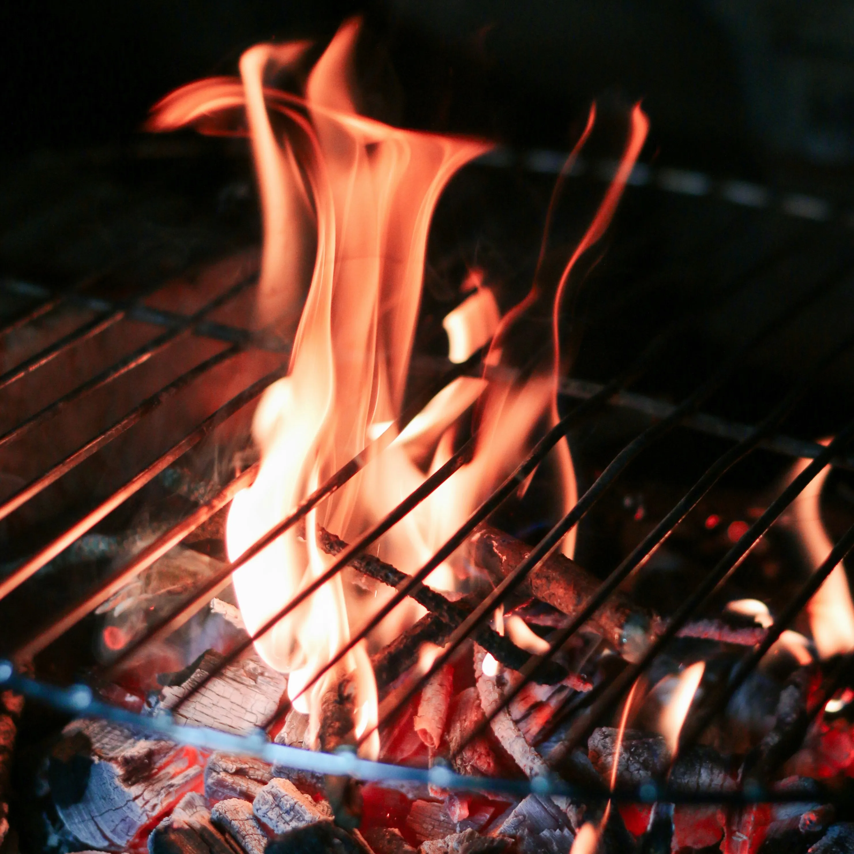 _Barbecue_