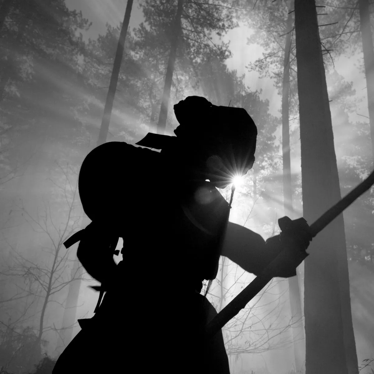 ronin